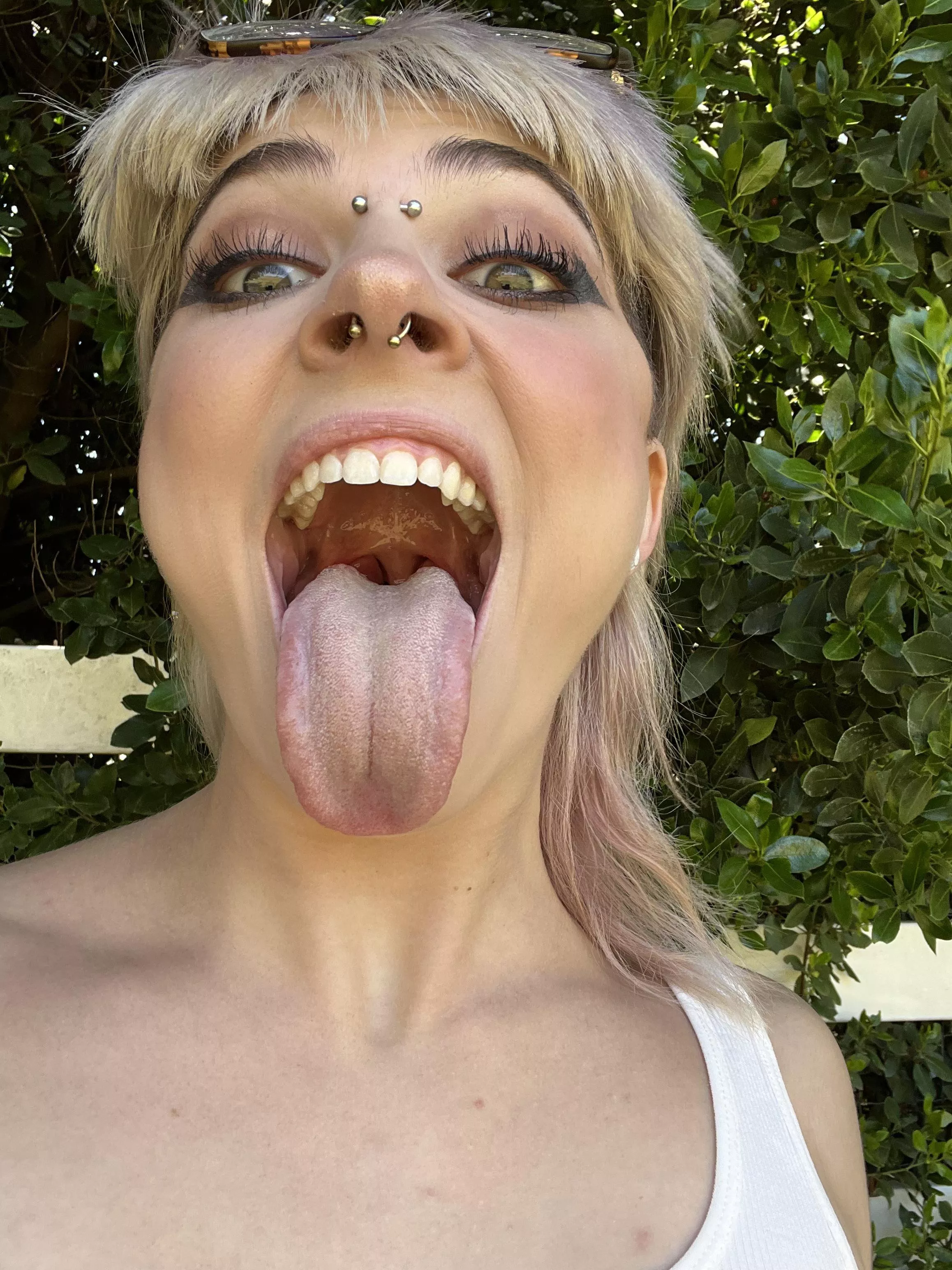Should I get my tongue pierced? If i was gonna do it, i would do 2 piercings, side by side :) posted by randapanda423