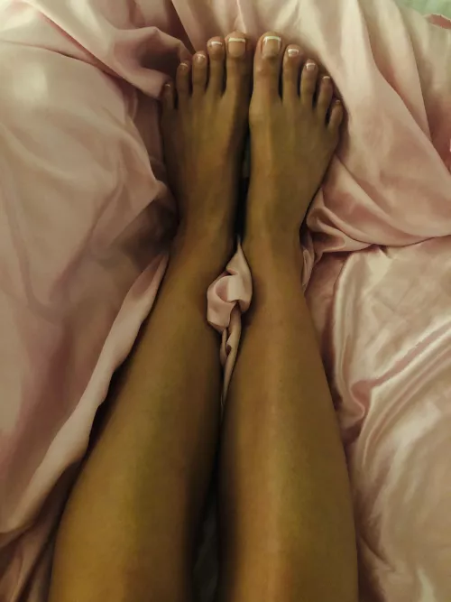 Should I go back to French next? by 7empest11