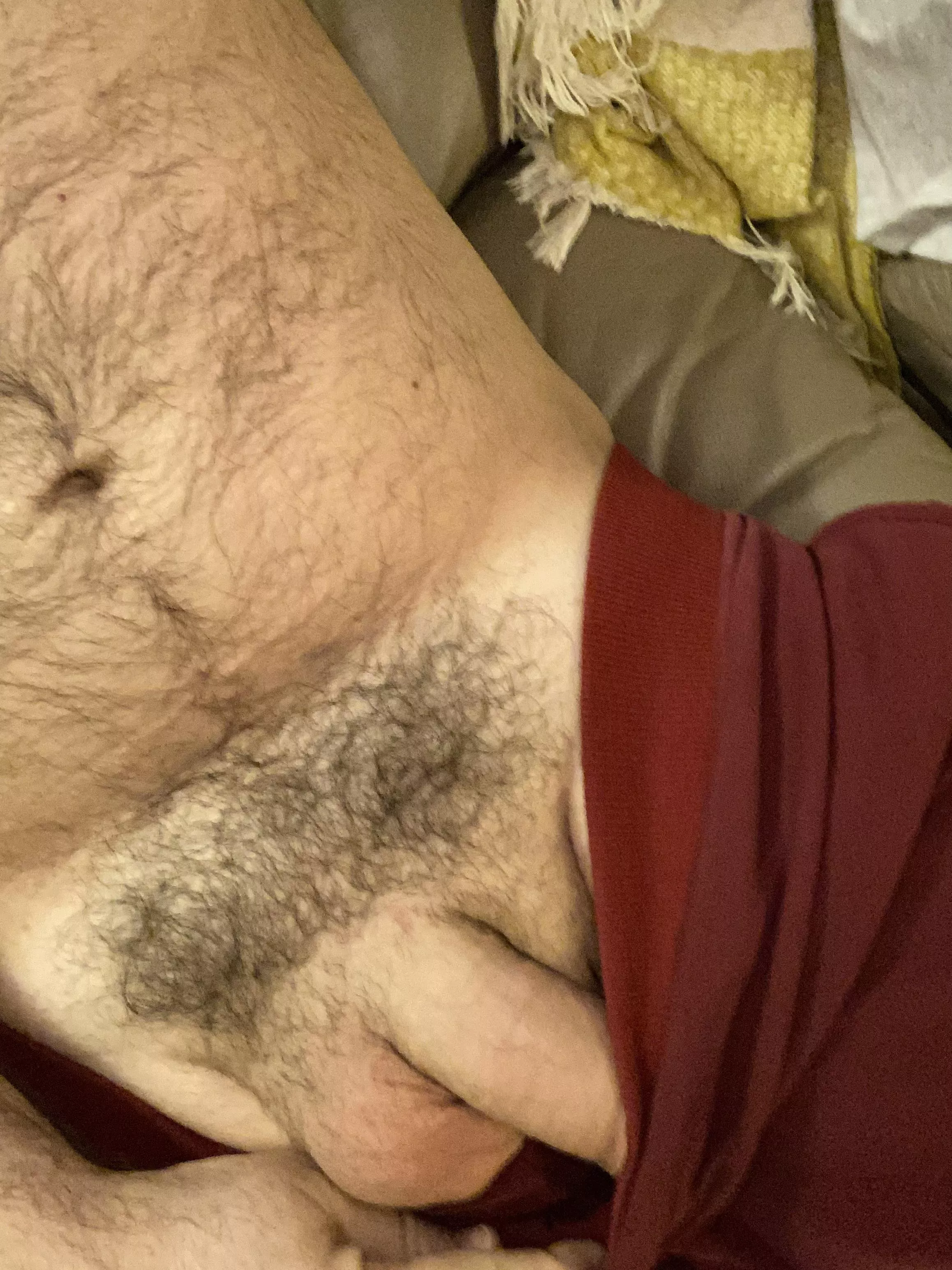 Should I go to bed? posted by Comfortable-Engine45