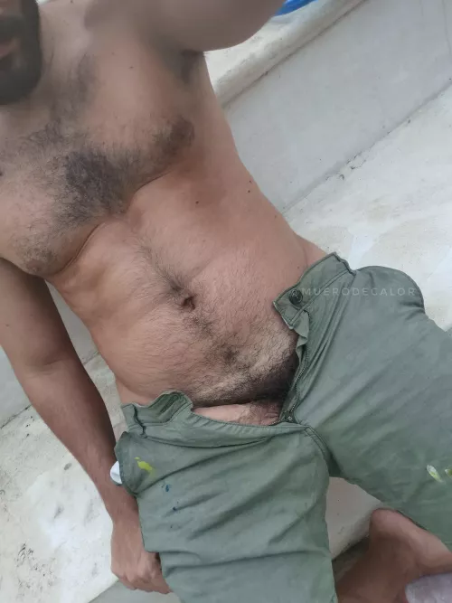 Should I let it out? by hoeliath