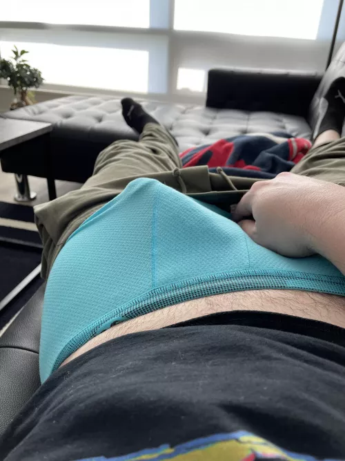 Should I pull these down? by Peternorthfan