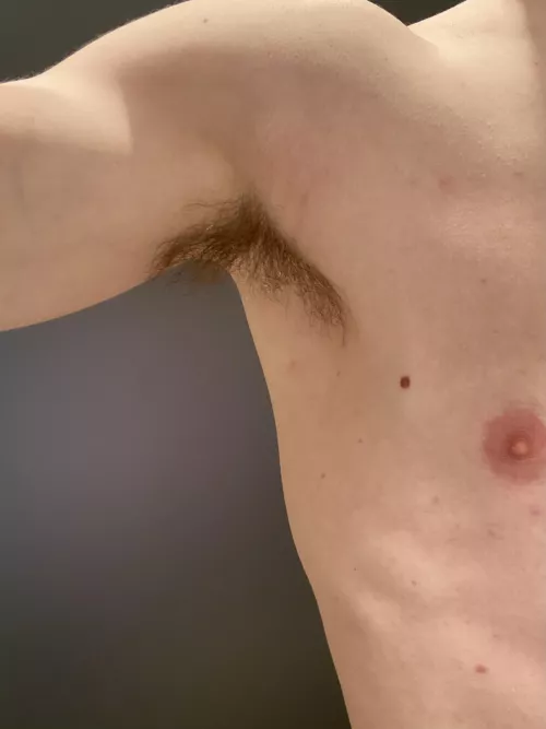 Should i shave? by rrtimon