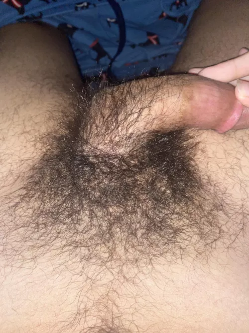 should i shave? by MentalLocksmith2546