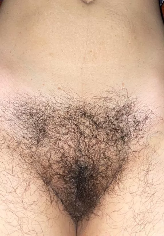 Should I shave ? posted by iyoumewe8789