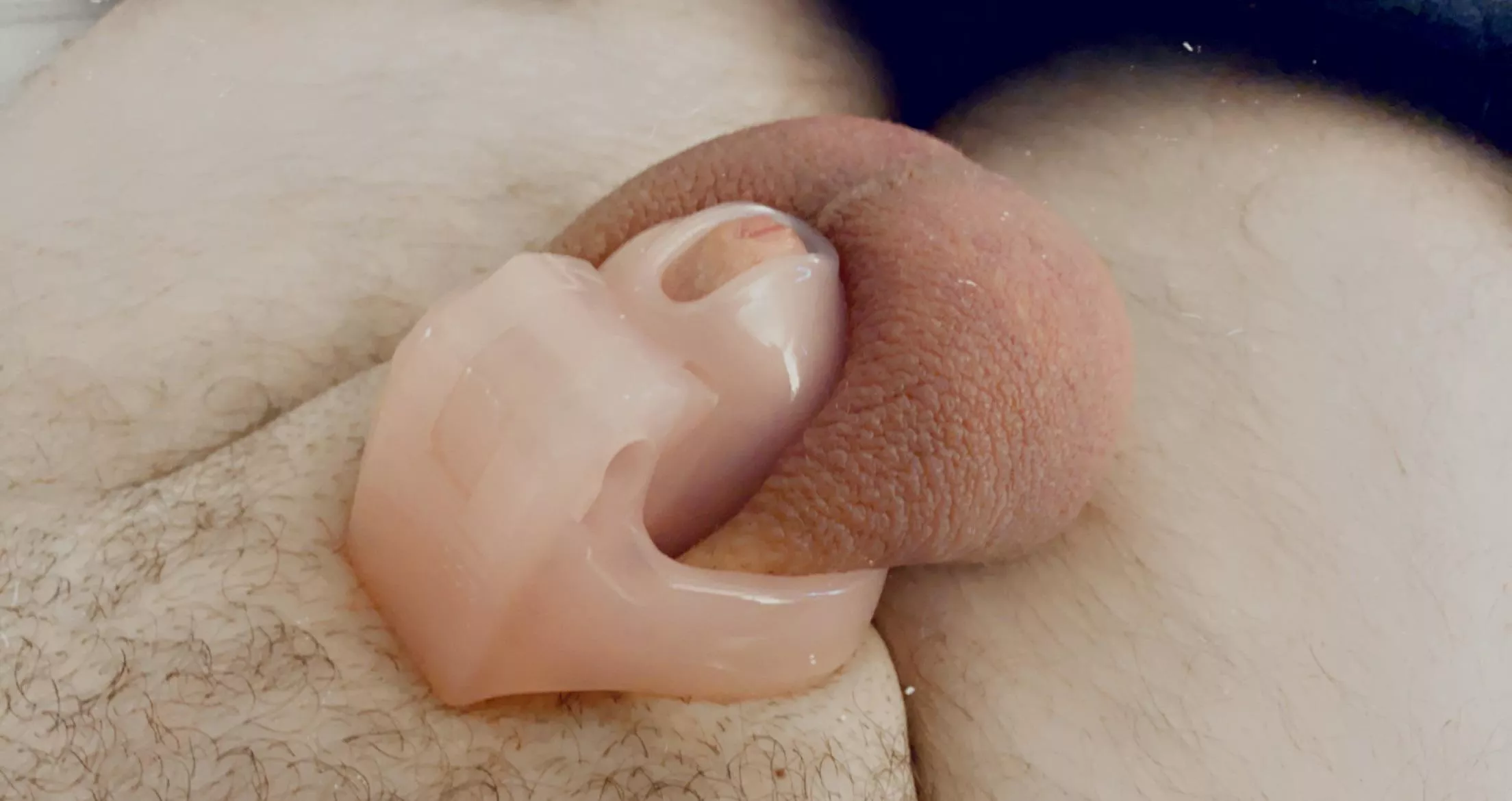 Should I tell my wife I got a cage? posted by need2becucked