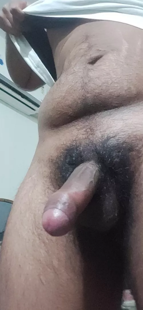 should I trim my bush ? by coppPrudent74