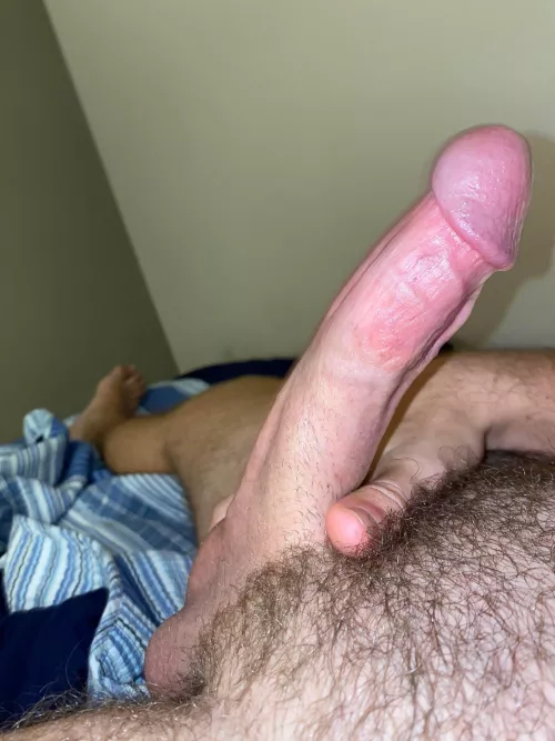 Shoutout to the 5 people who like my cock (22) by PM_ME_THE_CHESTICLES
