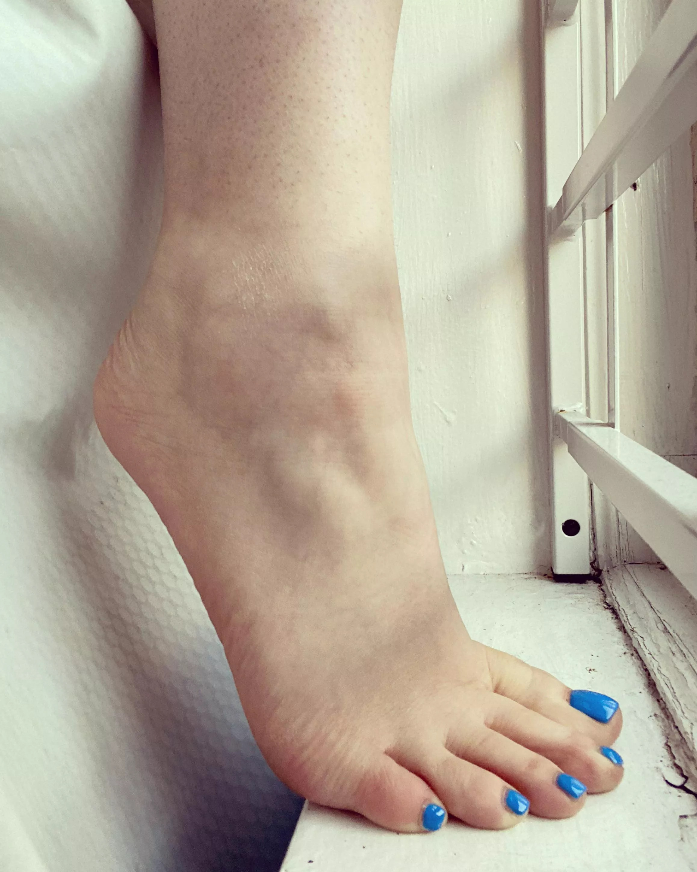 Showing my toes off to my neighbors 👀 posted by RabbitPaws194