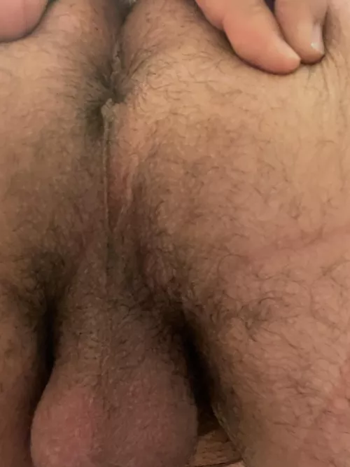 Showing off my asshole (29) by curioushorny9999