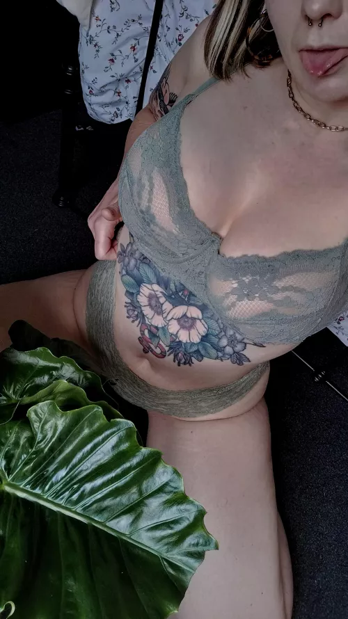 Showing off my new plant 😄 by Scott_and_Robin