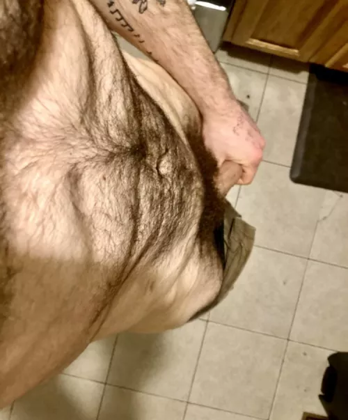 Showing off my plush, new coat of fur. A level I’ve never let it grow to before by J-Harker