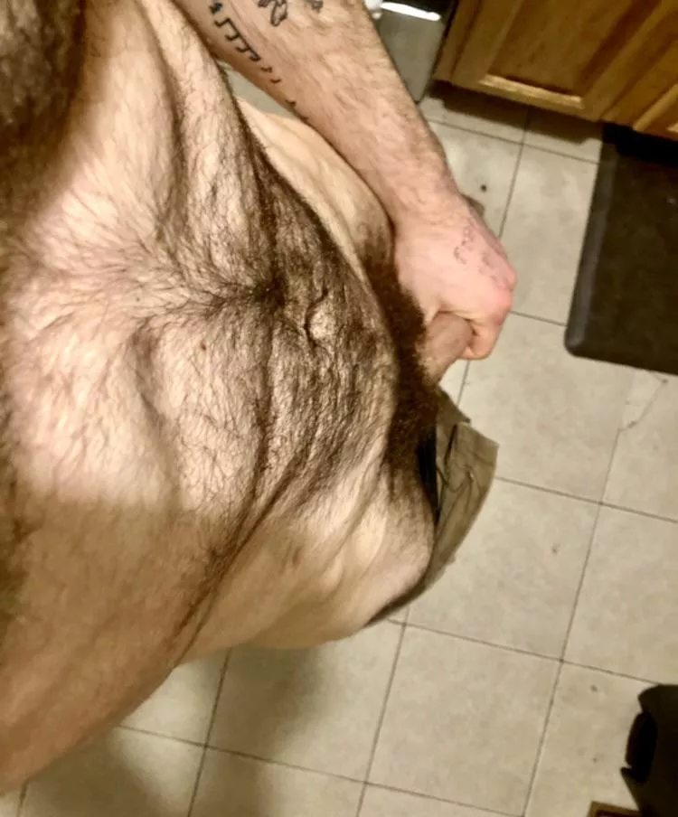 Showing off my plush, new coat of fur. A level I’ve never let it grow to before posted by J-Harker