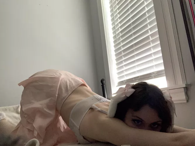 Shy bunny by RopesnRibbons