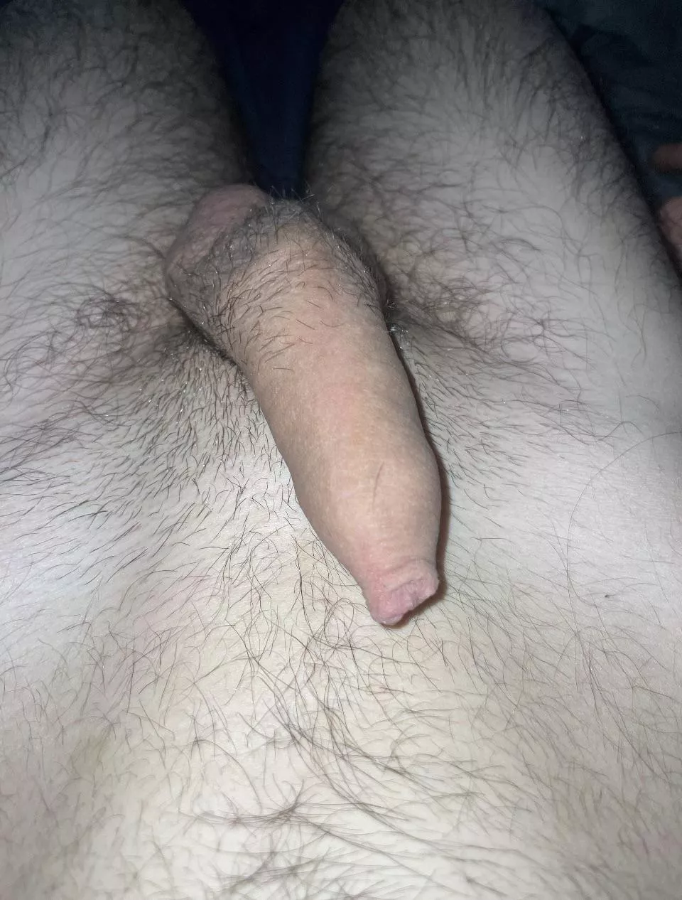 Shy posted by Fit-Fish-6061