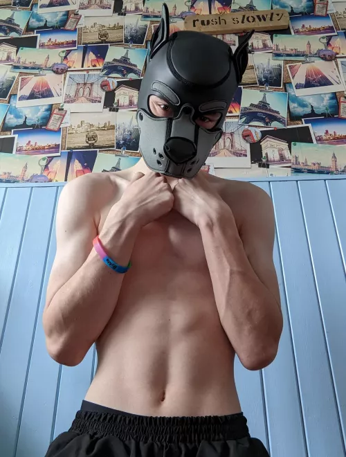 Shy pup :3 by Irksome_Boy