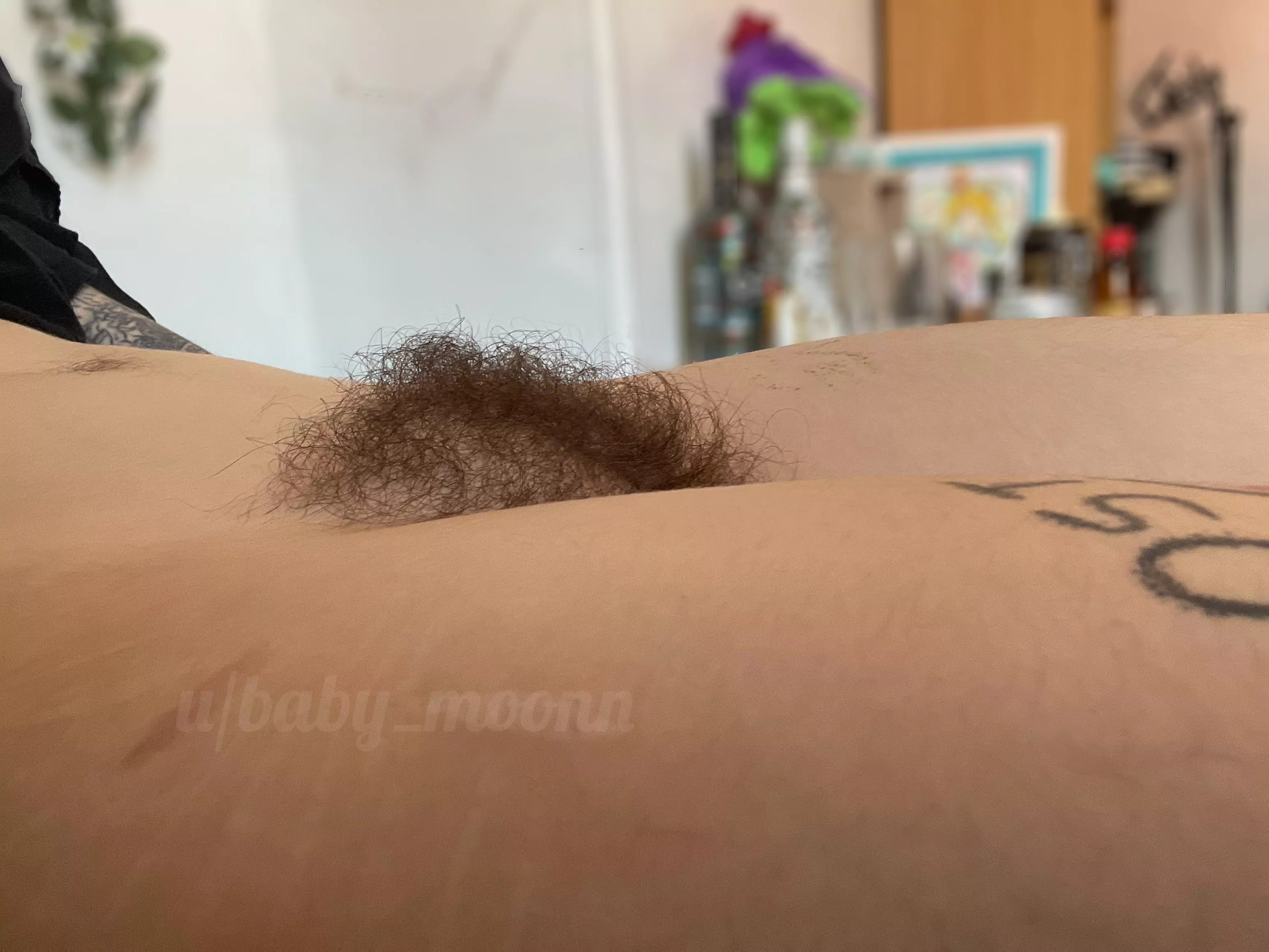 Side profile! posted by baby_moonn