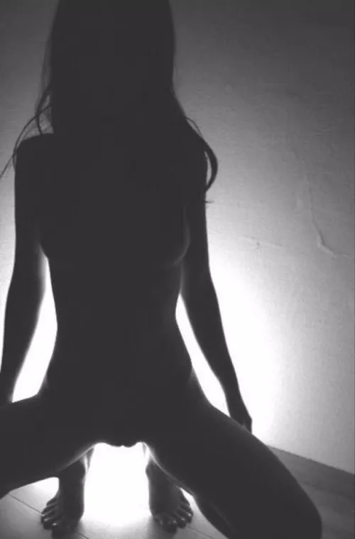 Silhouette by SineQuaNon001