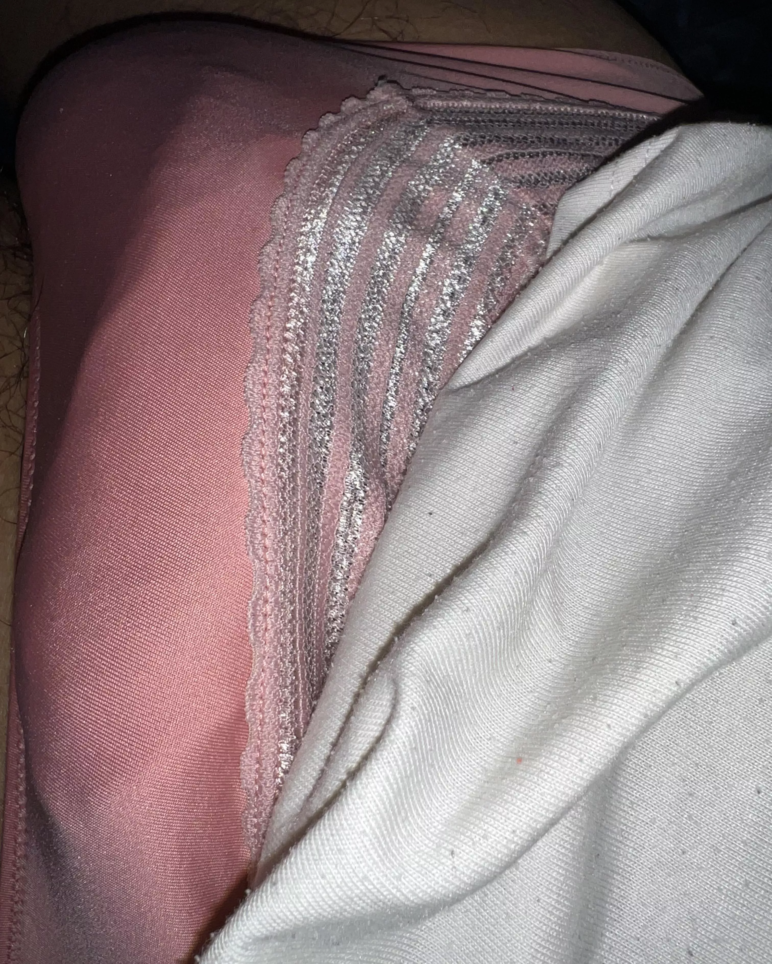 Silky posted by GEC08