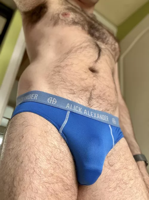 Simple briefs can be the best by atrophicshiner