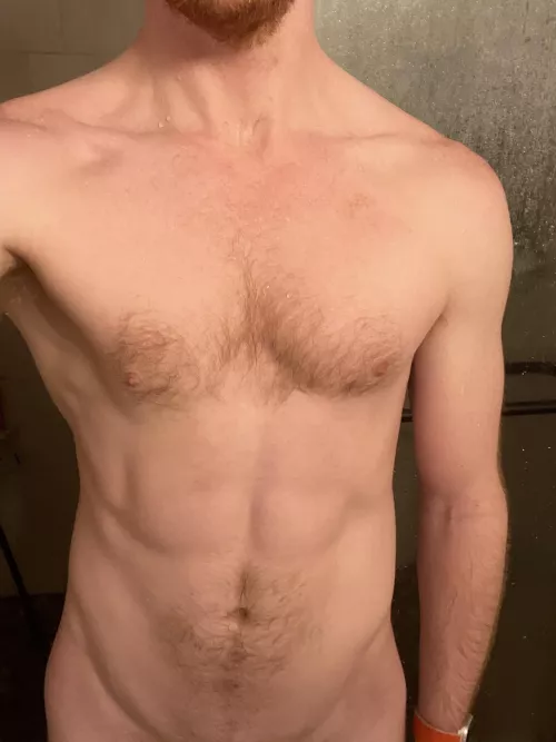 Simple ginger pic by macro_foundation8223