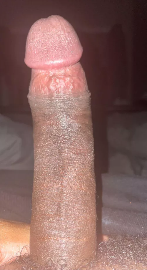 Simple pic of a dick in desperate need of a throat by jamalburner