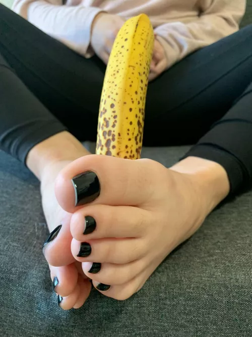 Simulation by caramelofeet