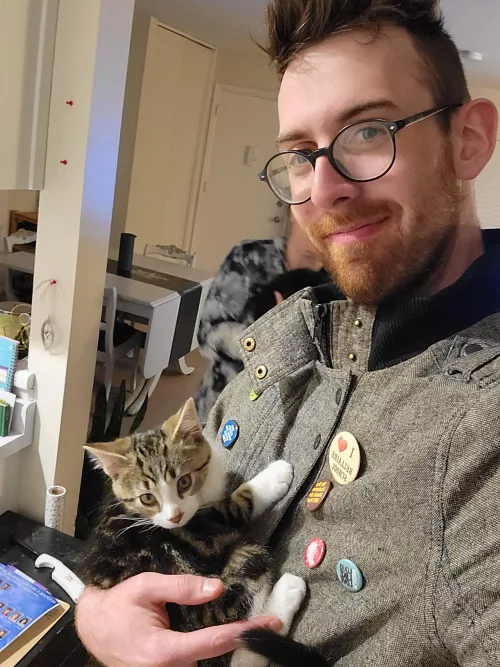 sister got kittens! by Cojamb