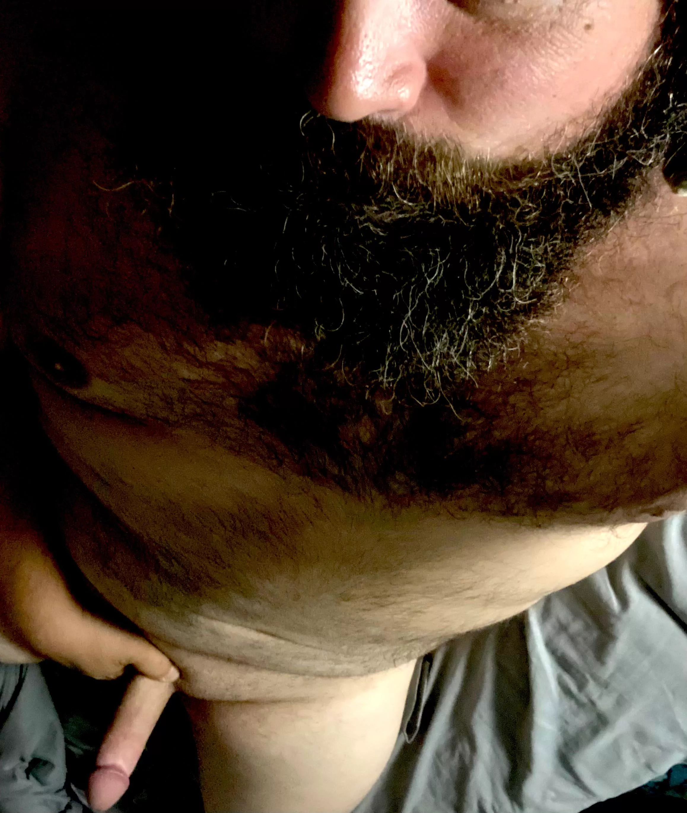 Sit anywhere ya like posted by curiousbear187