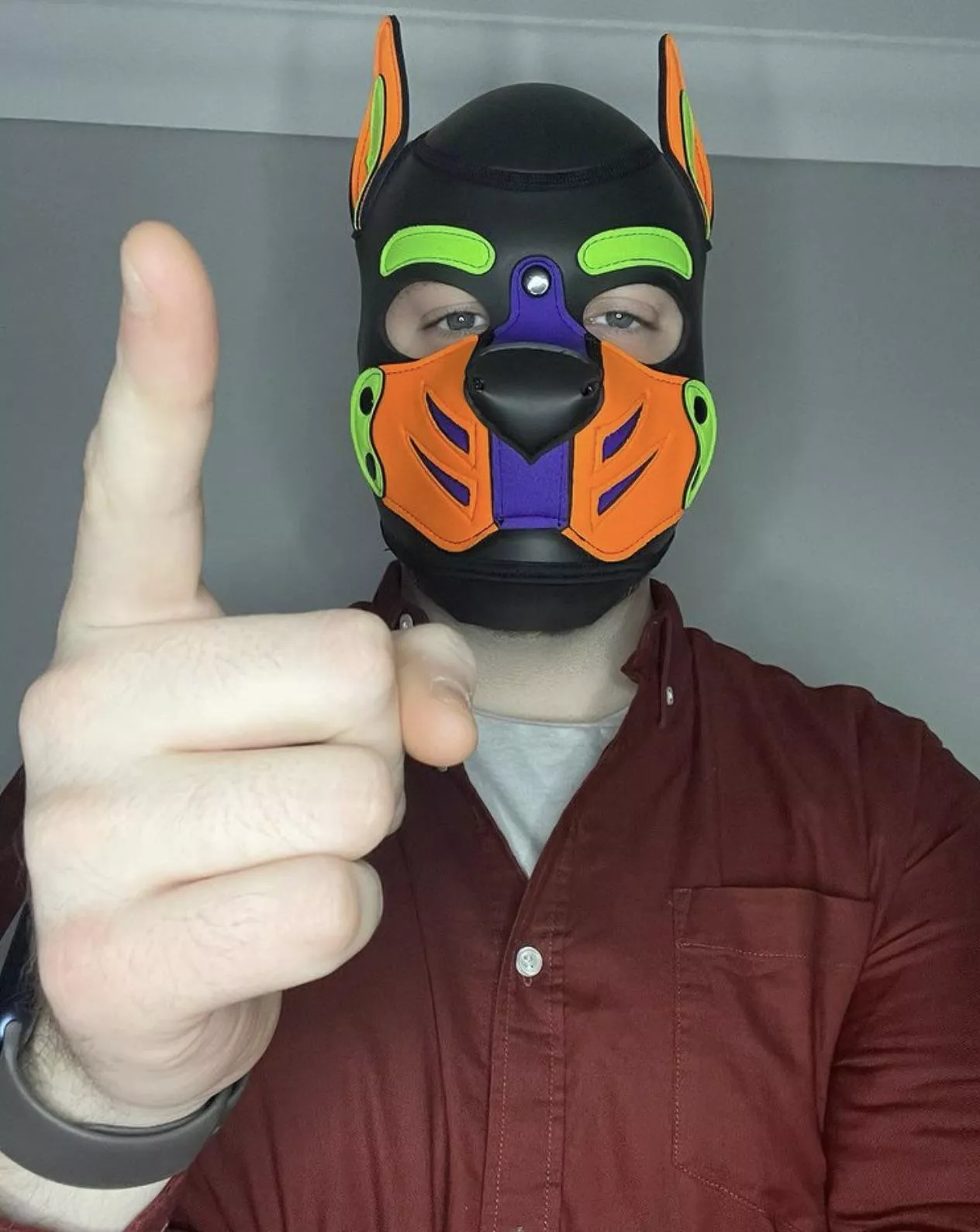 Sit……. Now pup posted by Pupspencer