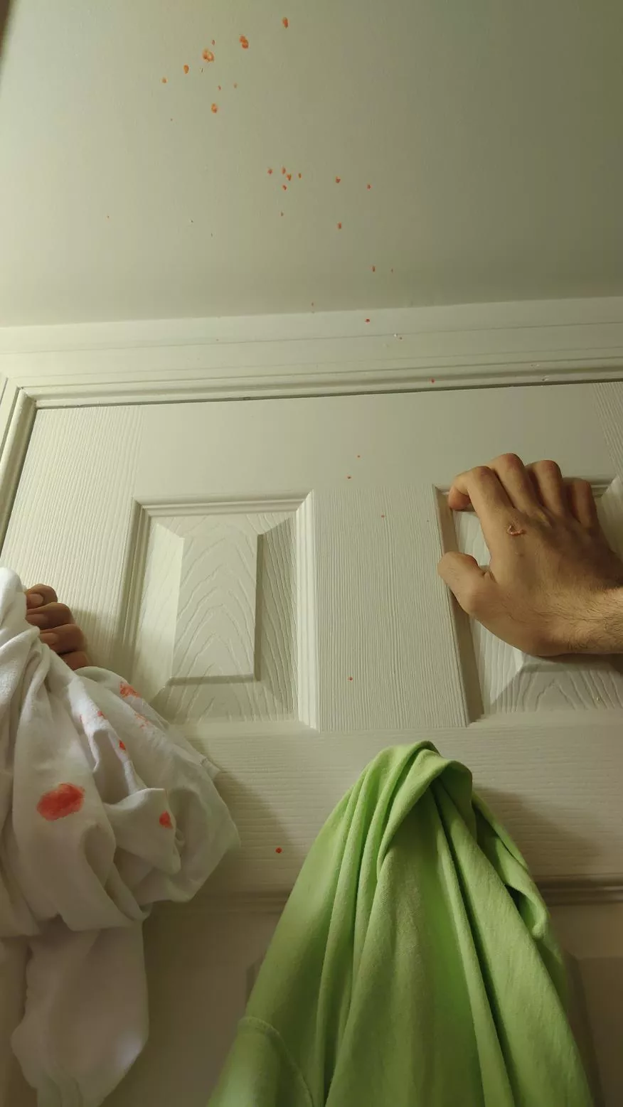 Sitting in the toilet, this monster finally came out. Thanks to my wife who dodged a bullet. posted by goreetv