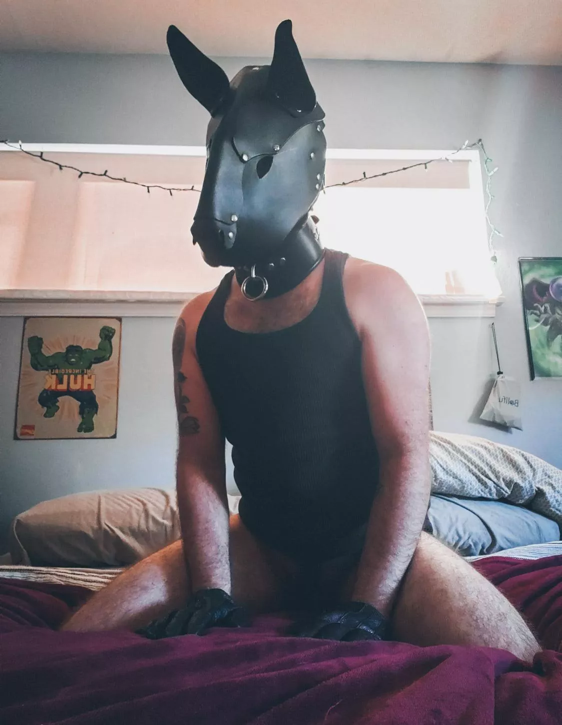 Sitting pretty posted by kinkytranspup