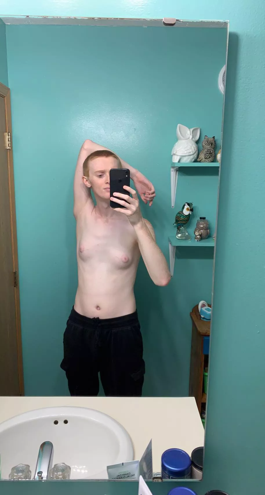 six [f]oot two posted by avantgardelaney