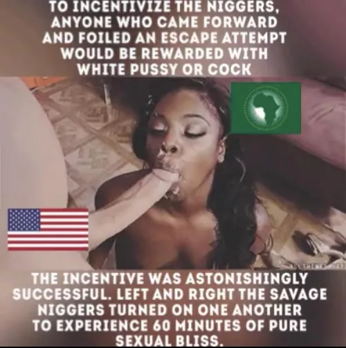 Slave monkey 🐒 by ayoayo40