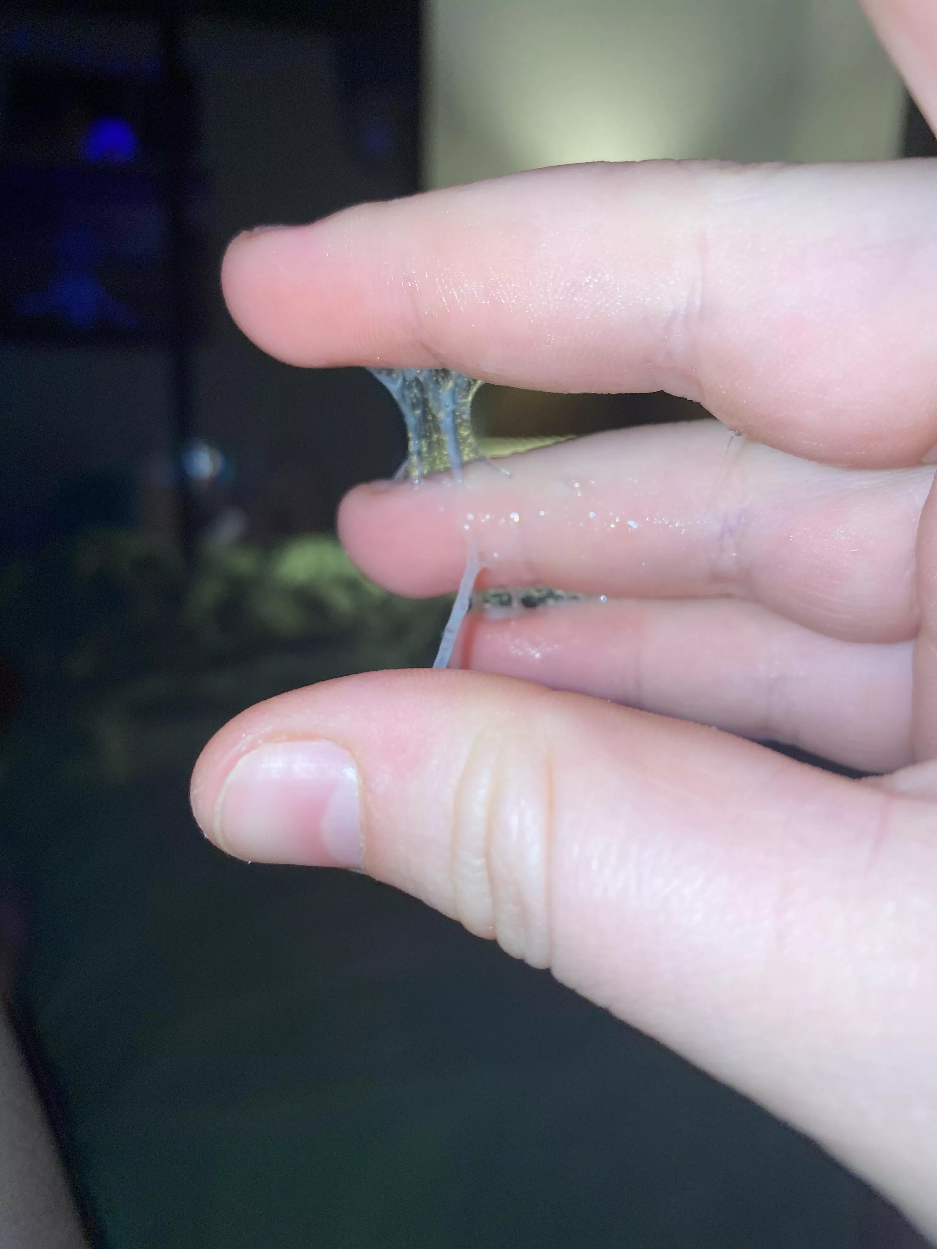 Slimyyyyy posted by Savvy_tha_brat