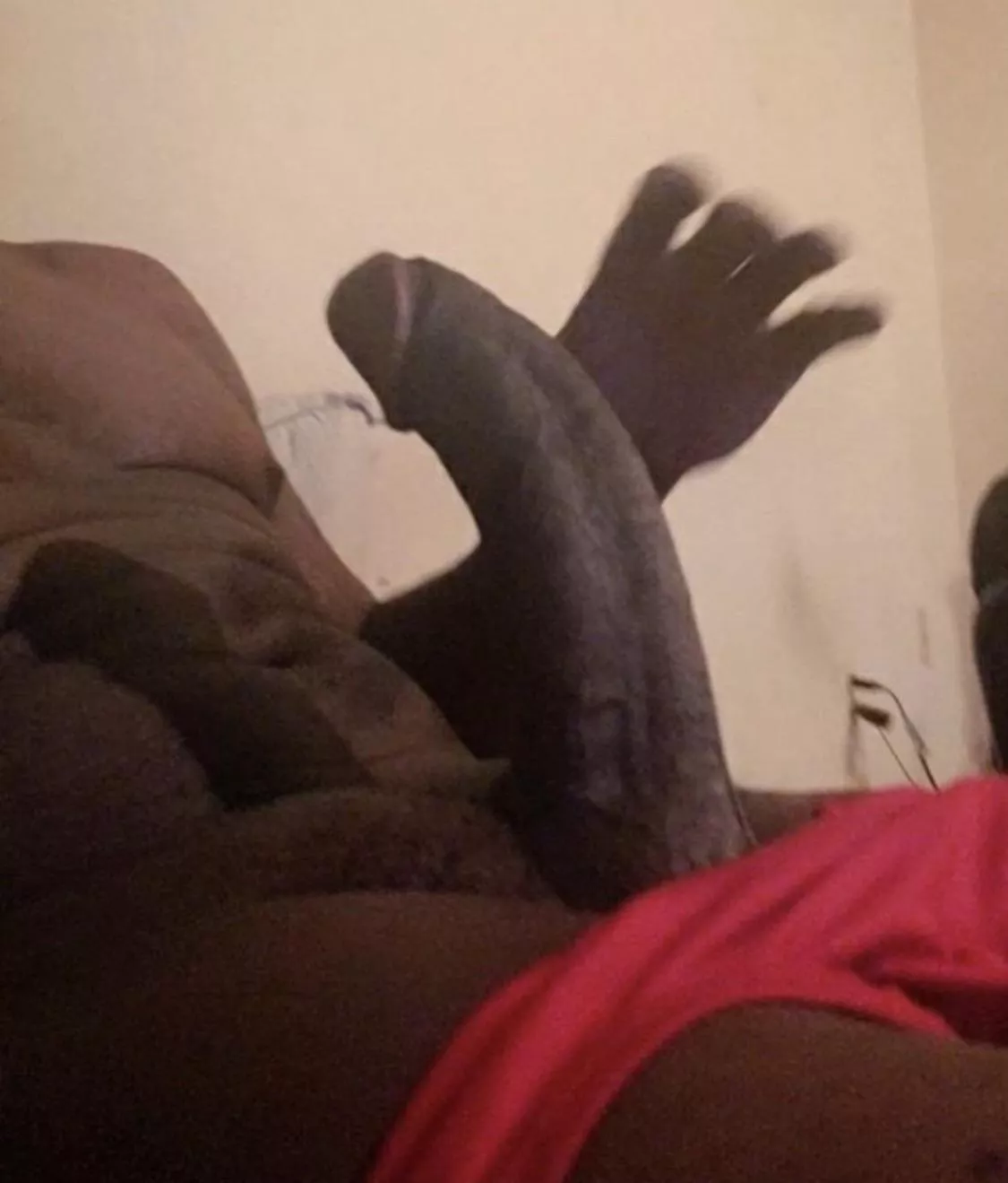 Slip into some leggings and come put ya nose on this posted by MisterImmense