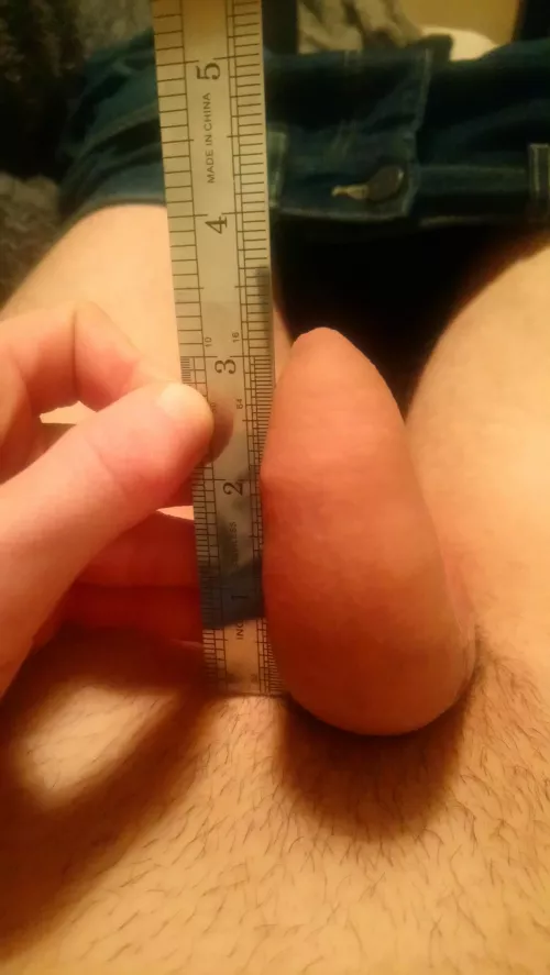 small but cute don't you think (18) by DetectiveLocal4296