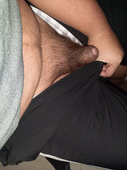 small hairy asian penis [24] by Alex_Chua_95
