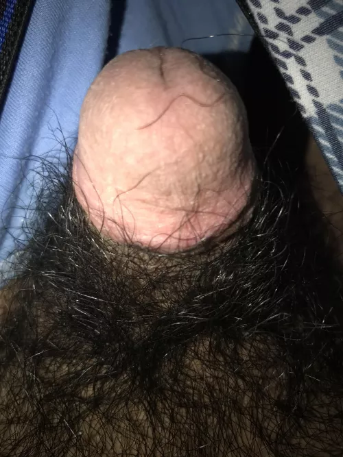 Small unshaved penis (20) by No_Bee2417