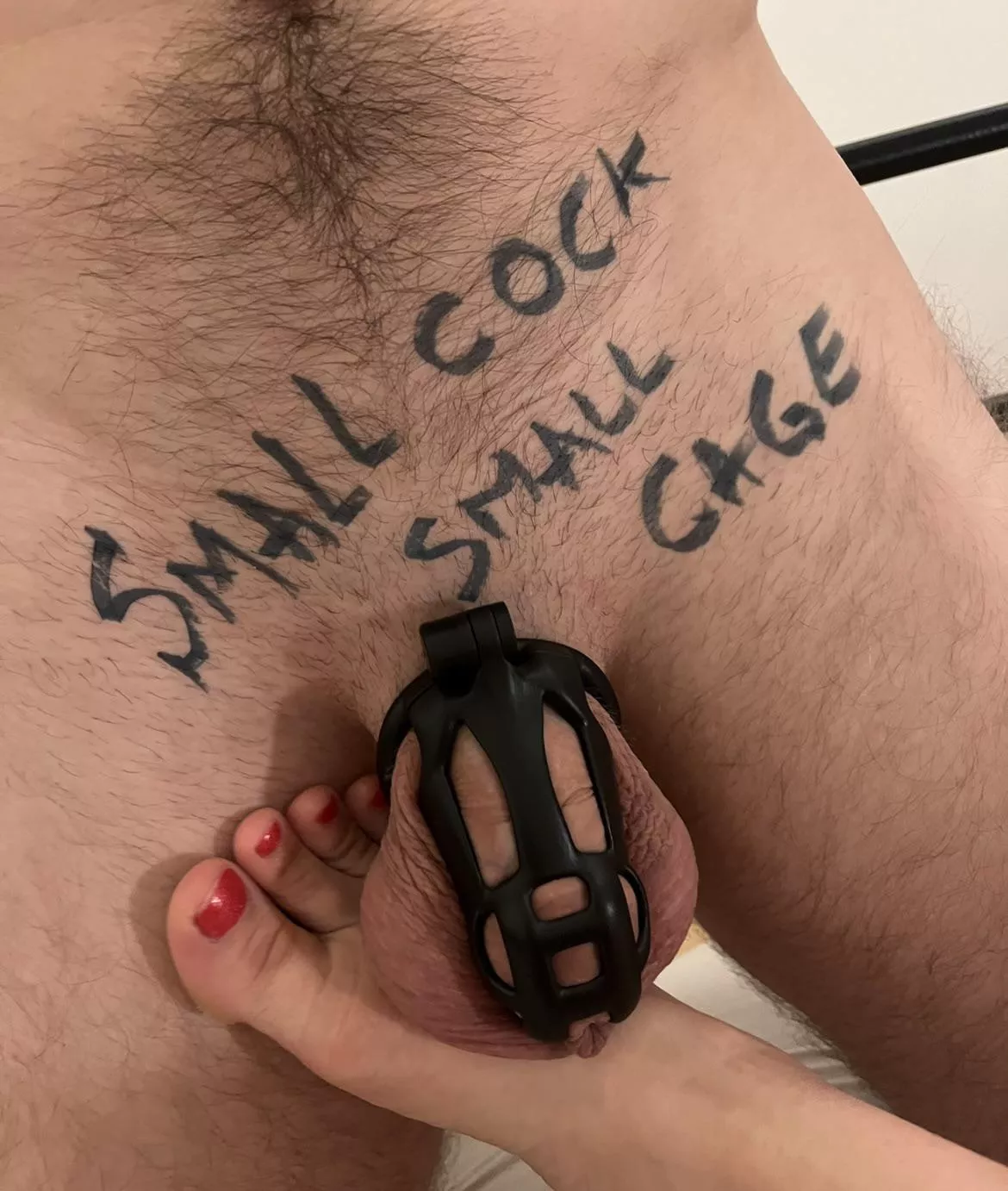 Smaller cage fits him better :) posted by hiscockstayslocked