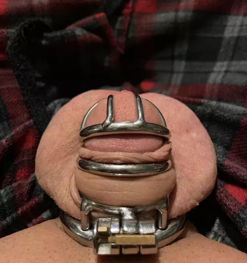 Smaller cage or just right??? She says I definitely have a small cock but I think the cage keeps me in check?! #cuckold #chastitycouple by O_SC