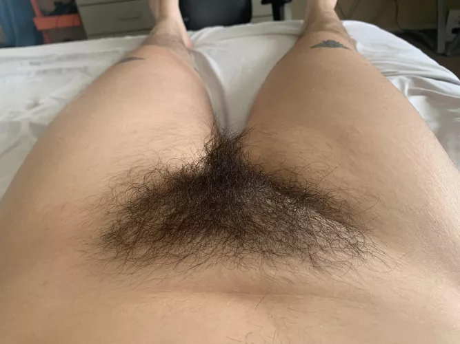 Smash or pass? by cherrythemistress