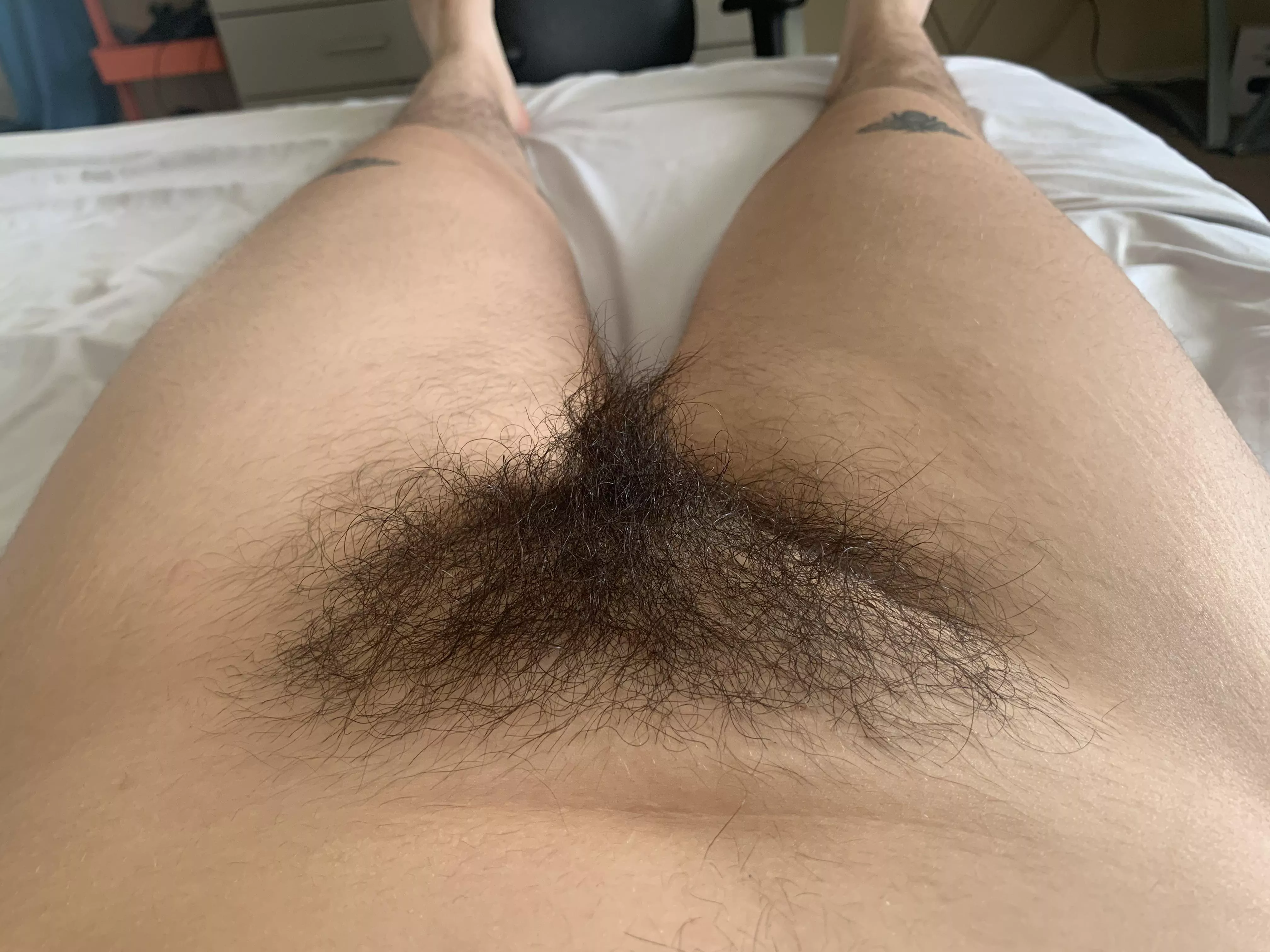 Smash or pass? posted by cherrythemistress