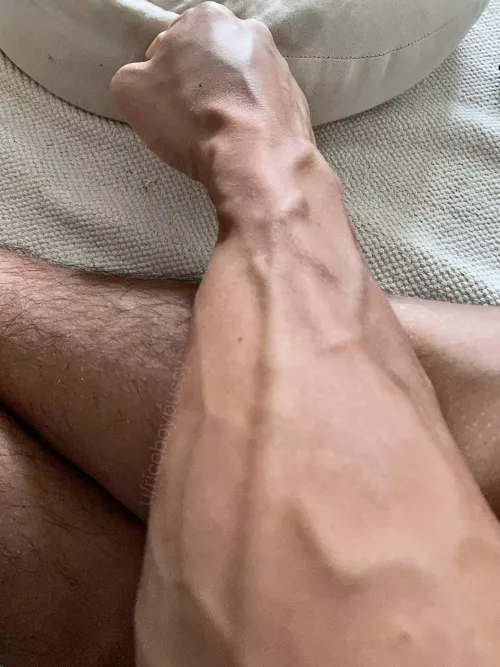 Smash or pass? by riceboypussy