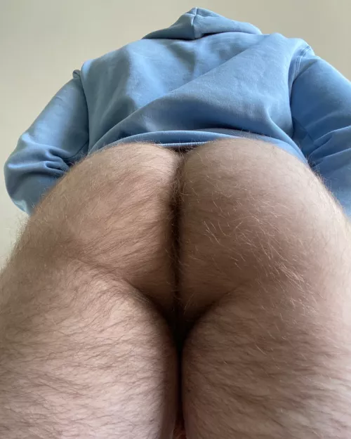 Smell my ass! by ceasarguccio