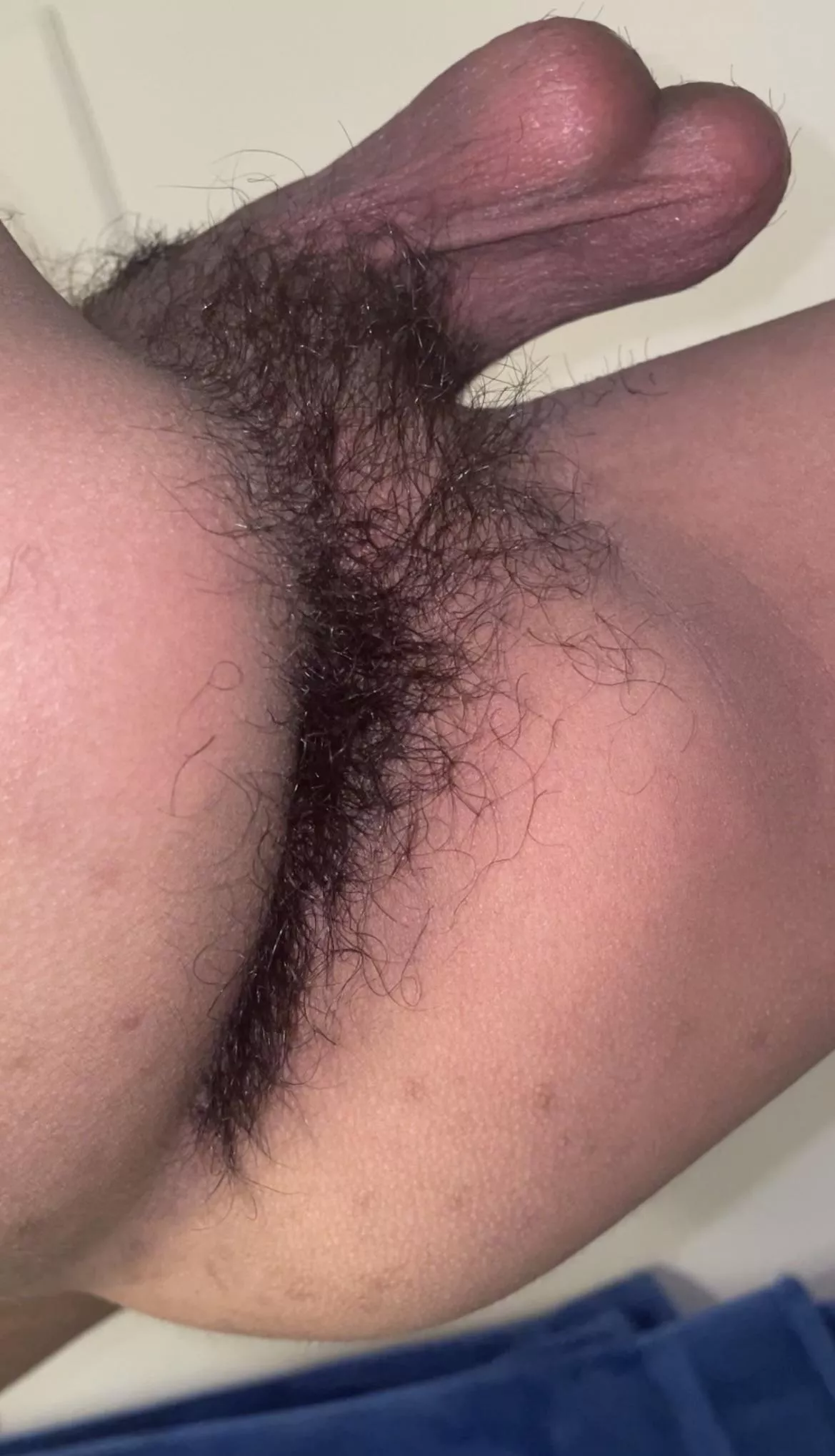 Smooth cheeks, hairy hole posted by Latin_twink0817