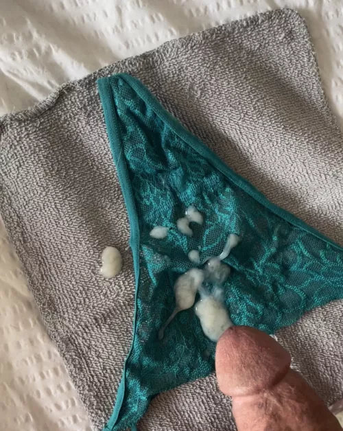 Snagged these beauties while helping some friends move. by notafantasyexpert