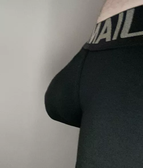 Sneaky side profile of what I’m wearing right now. by Thatwestieguy