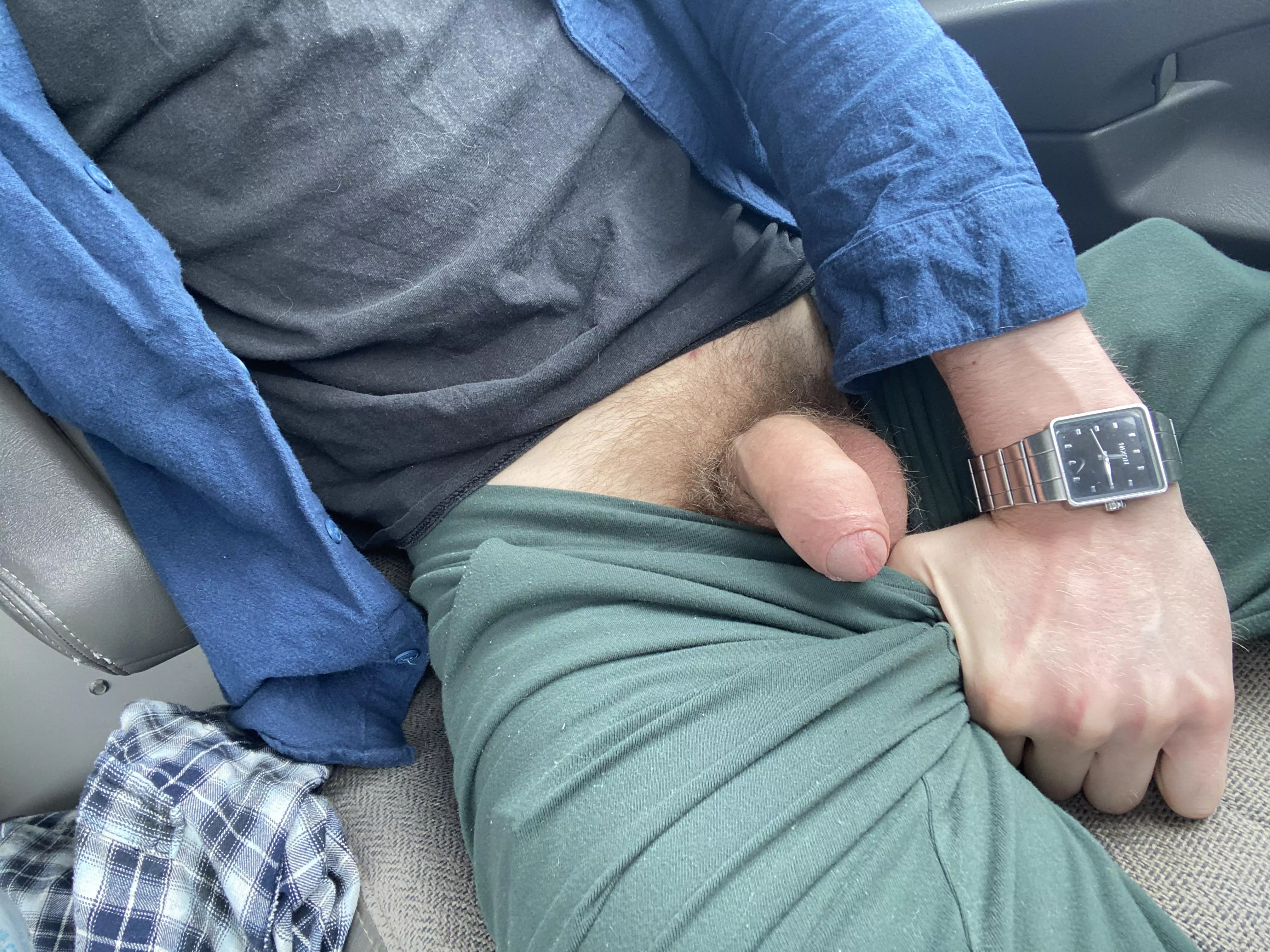 sneaky softie! this is your chauffeur posted by mapleTide