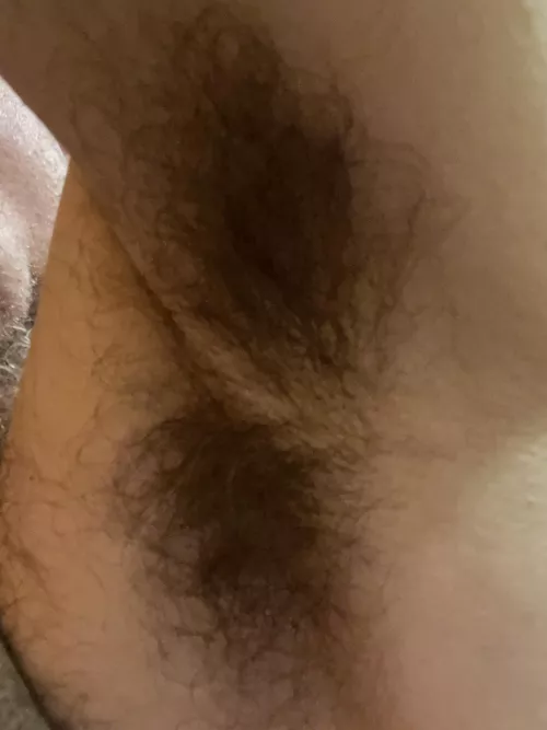 Sniff by Suddenly-Seemoor