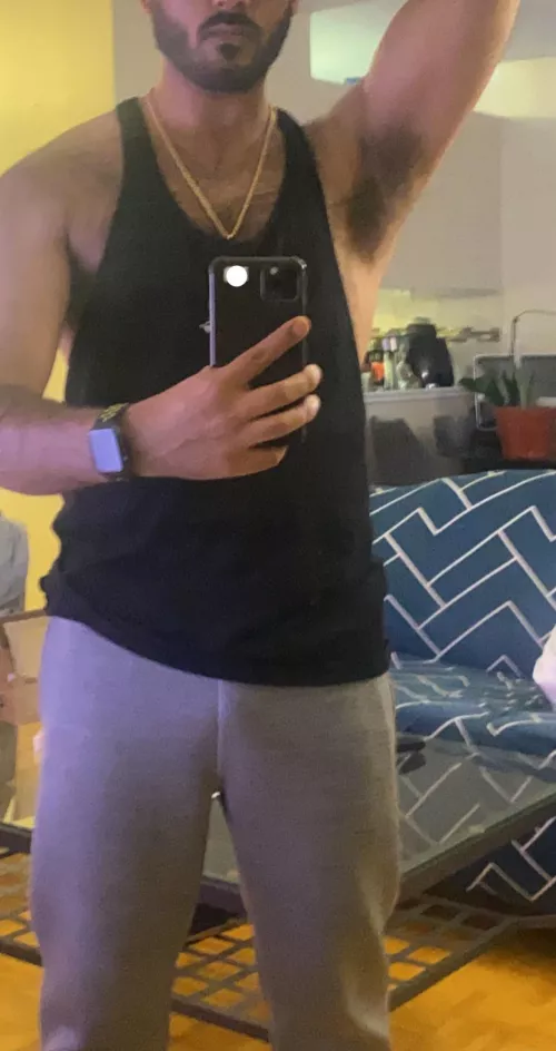 Sniff by prostication